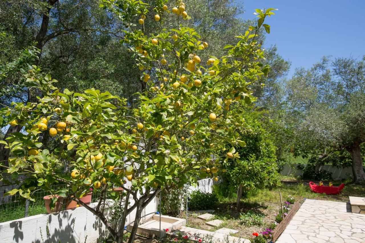 Kariá Holiday Home Lefkimmi (Corfu) Exterior foto